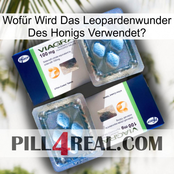 Wofür Wird Das Leopardenwunder Des Honigs Verwendet viagra5